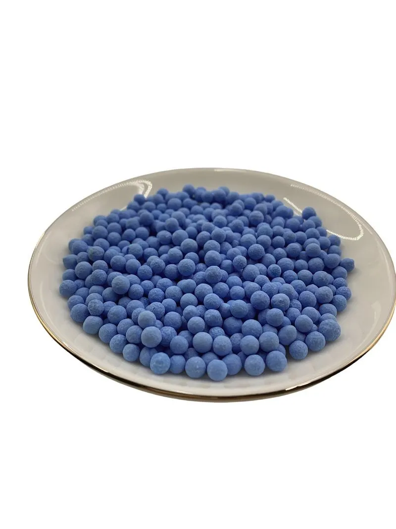 _202407041040401_(001)